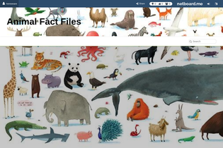 Interactive Learning Pages | netboard.me