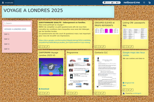 Interactive Learning Pages | netboard.me