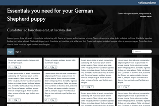 Interactive Learning Pages | netboard.me