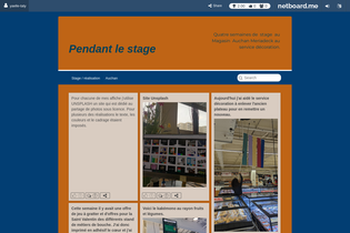 Interactive Learning Pages | netboard.me