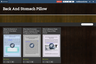 Interactive Learning Pages | netboard.me