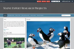 Interactive Learning Pages | netboard.me