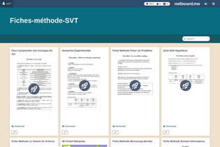 Interactive Learning Pages | netboard.me