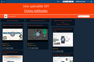 Interactive Learning Pages | netboard.me