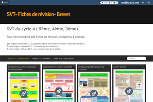 Interactive Learning Pages | netboard.me