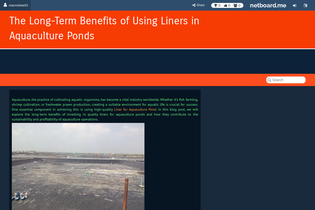 Interactive Learning Pages | netboard.me