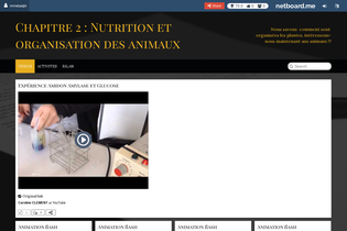 Interactive Learning Pages | netboard.me