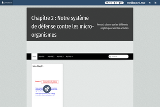 Interactive Learning Pages | netboard.me