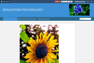 Interactive Learning Pages | netboard.me