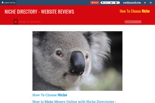 Interactive Learning Pages | netboard.me