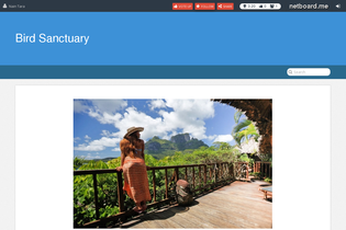 Interactive Learning Pages | netboard.me