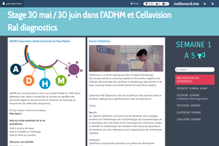 Interactive Learning Pages | netboard.me