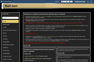 Interactive Learning Pages | netboard.me