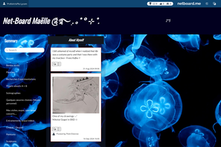 Interactive Learning Pages | netboard.me