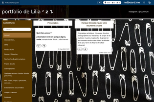 Interactive Learning Pages | netboard.me