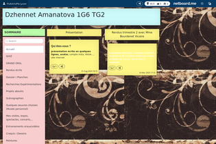 Interactive Learning Pages | netboard.me