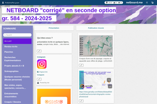 Interactive Learning Pages | netboard.me