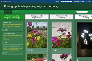 Interactive Learning Pages | netboard.me