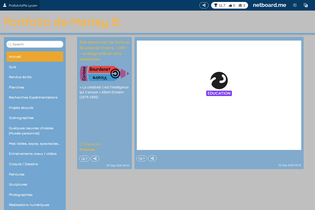 Interactive Learning Pages | netboard.me