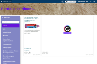 Interactive Learning Pages | netboard.me