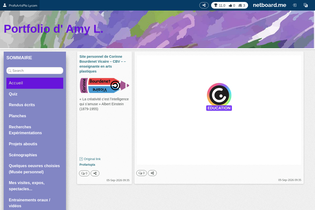 Interactive Learning Pages | netboard.me