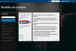 Interactive Learning Pages | netboard.me