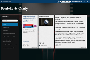 Interactive Learning Pages | netboard.me