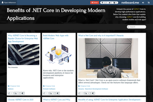 Interactive Learning Pages | netboard.me