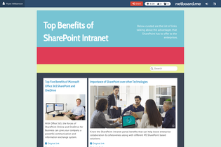 Interactive Learning Pages | netboard.me