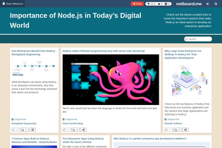 Interactive Learning Pages | netboard.me