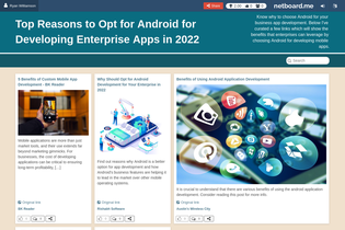 Interactive Learning Pages | netboard.me