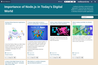Interactive Learning Pages | netboard.me