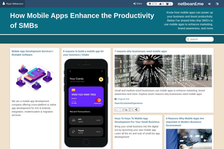 Interactive Learning Pages | netboard.me