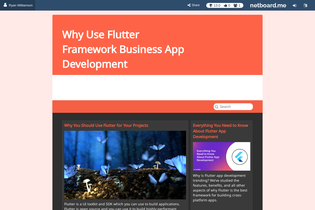 Interactive Learning Pages | netboard.me