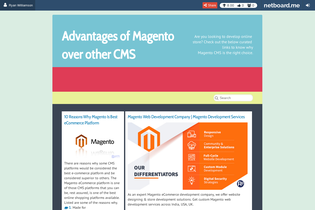 Interactive Learning Pages | netboard.me