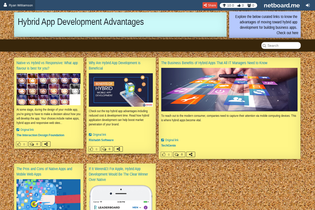 Interactive Learning Pages | netboard.me