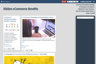 Interactive Learning Pages | netboard.me