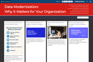 Interactive Learning Pages | netboard.me