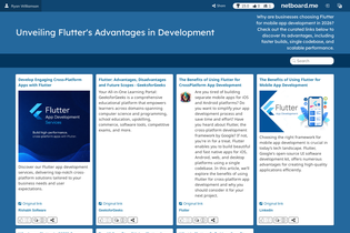 Interactive Learning Pages | netboard.me
