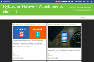 Interactive Learning Pages | netboard.me