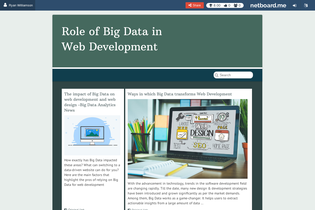 Interactive Learning Pages | netboard.me