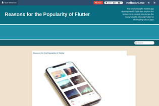 Interactive Learning Pages | netboard.me
