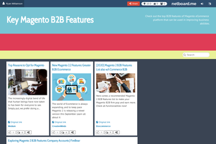 Interactive Learning Pages | netboard.me