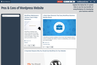 Interactive Learning Pages | netboard.me