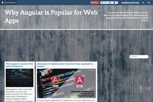 Interactive Learning Pages | netboard.me