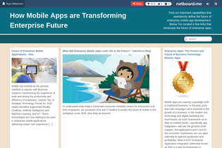 Interactive Learning Pages | netboard.me