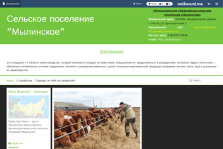Interactive Learning Pages | netboard.me