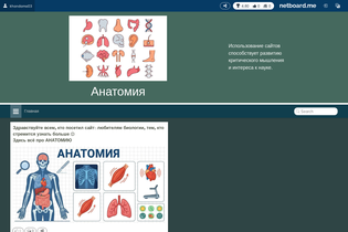 Interactive Learning Pages | netboard.me