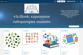 Interactive Learning Pages | netboard.me