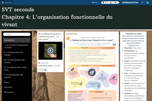 Interactive Learning Pages | netboard.me